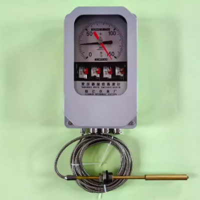 Đồng hồ đo nhiệt độ cuộn dây máy biến áp lực, Huanren Instrument Factory BWR-04J (TH) Transformer Winding Thermometer Winding