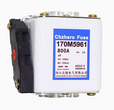 cầu chì cắt nhanh 170M5960 170M5930 700A 170M5961 170M5931 800A Fast Fuse 1000V