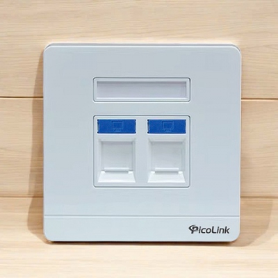 Mặt hình vuông 2 cổng, Mặt Wallplate 2 cổng Picolink PL-MV191-02